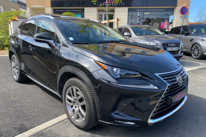 LEXUS NX